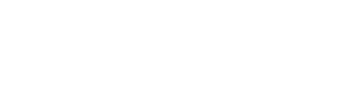 KeesVogel.ai
